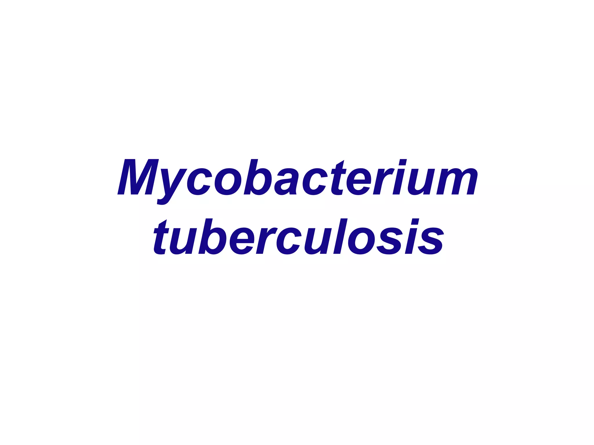Mycobacterium
tuberculosis
 