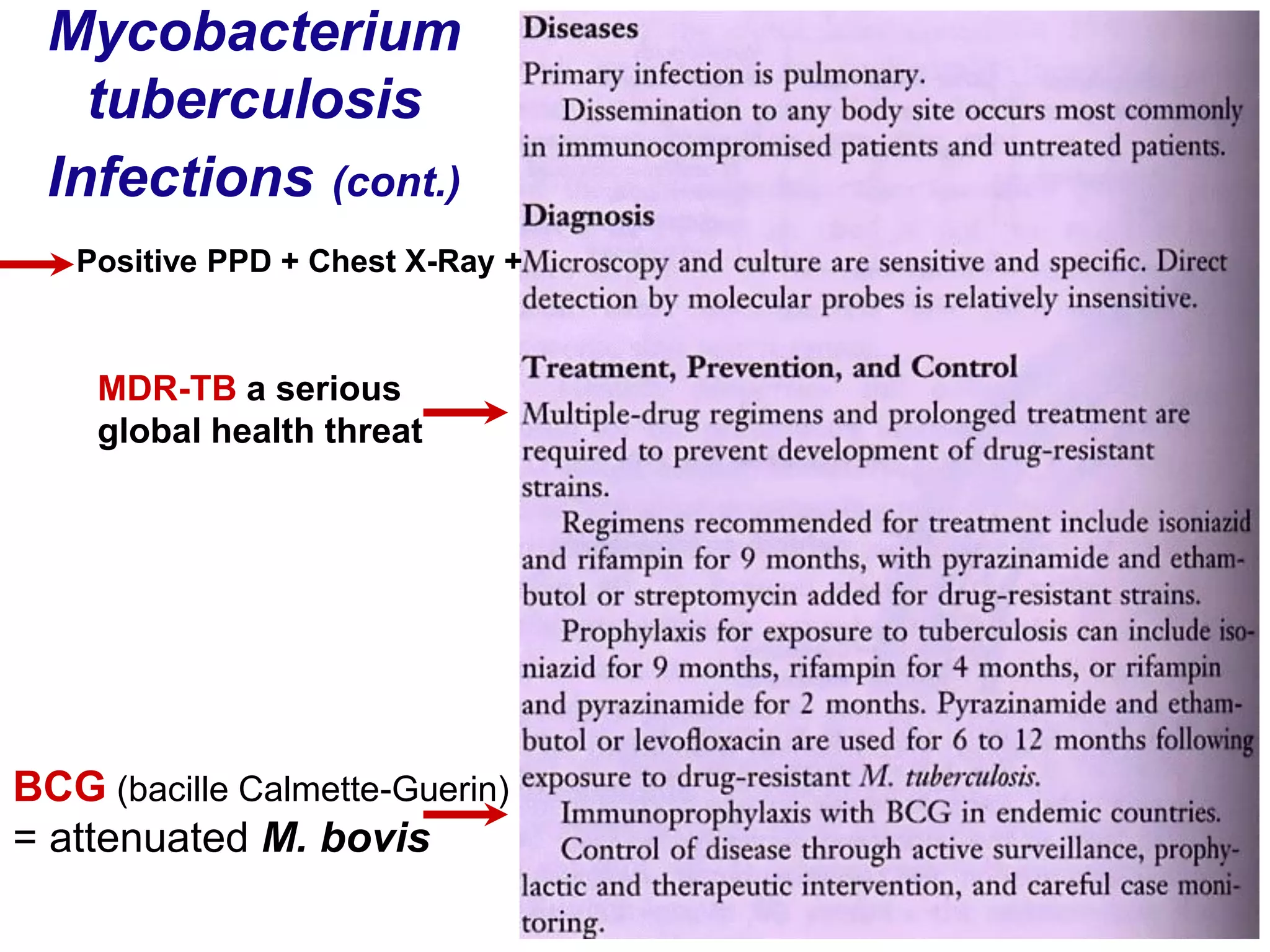 Mycobacterium
tuberculosis
Infections (cont.)
BCG (bacille Calmette-Guerin)
= attenuated M. bovis
Positive PPD + Chest X-Ray +
MDR-TB a serious
global health threat
 