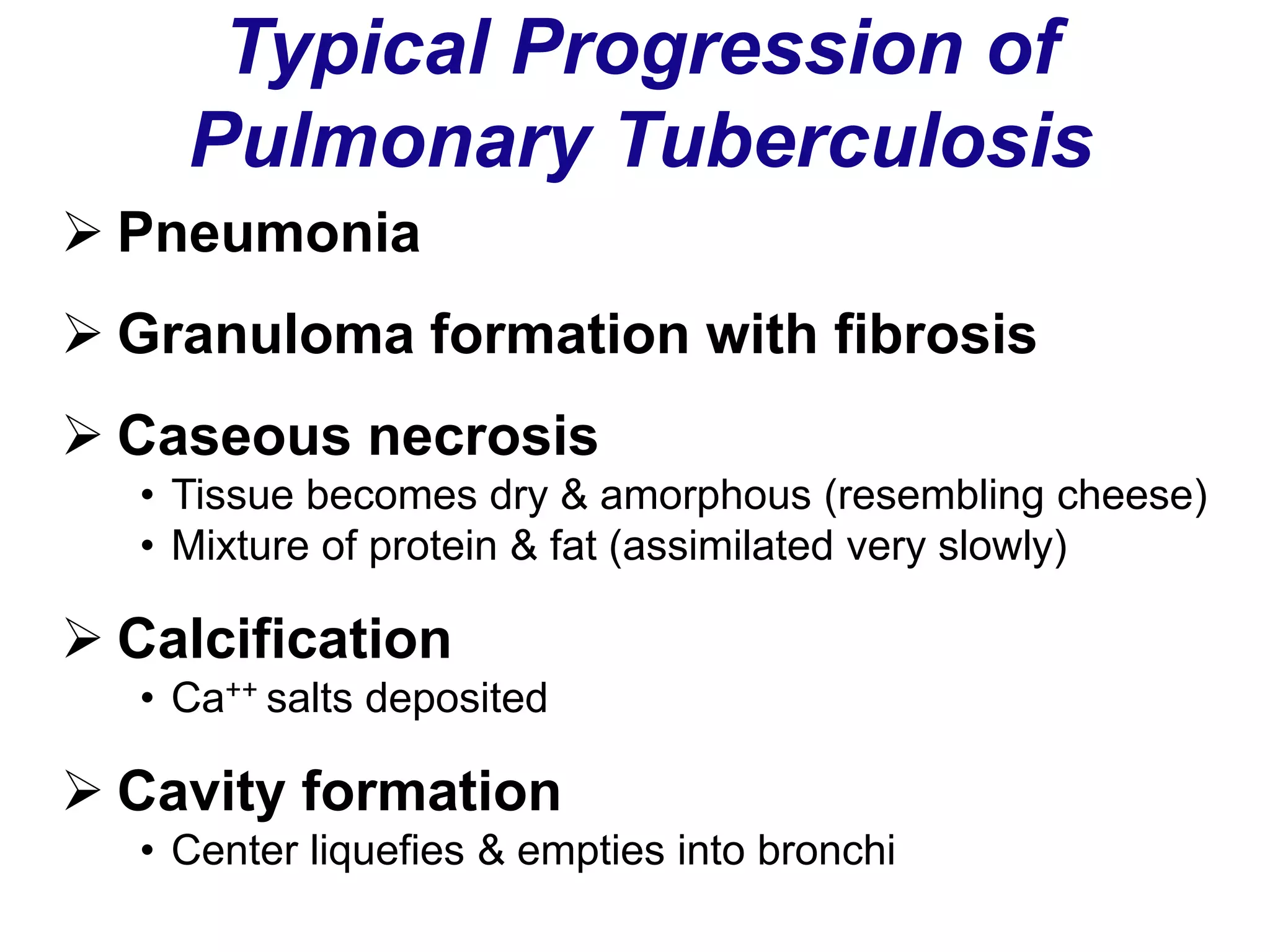  Pneumonia
 Granuloma formation with fibrosis
 Caseous necrosis
• Tissue becomes dry & amorphous (resembling cheese)
• Mixture of protein & fat (assimilated very slowly)
 Calcification
• Ca++ salts deposited
 Cavity formation
• Center liquefies & empties into bronchi
Typical Progression of
Pulmonary Tuberculosis
 