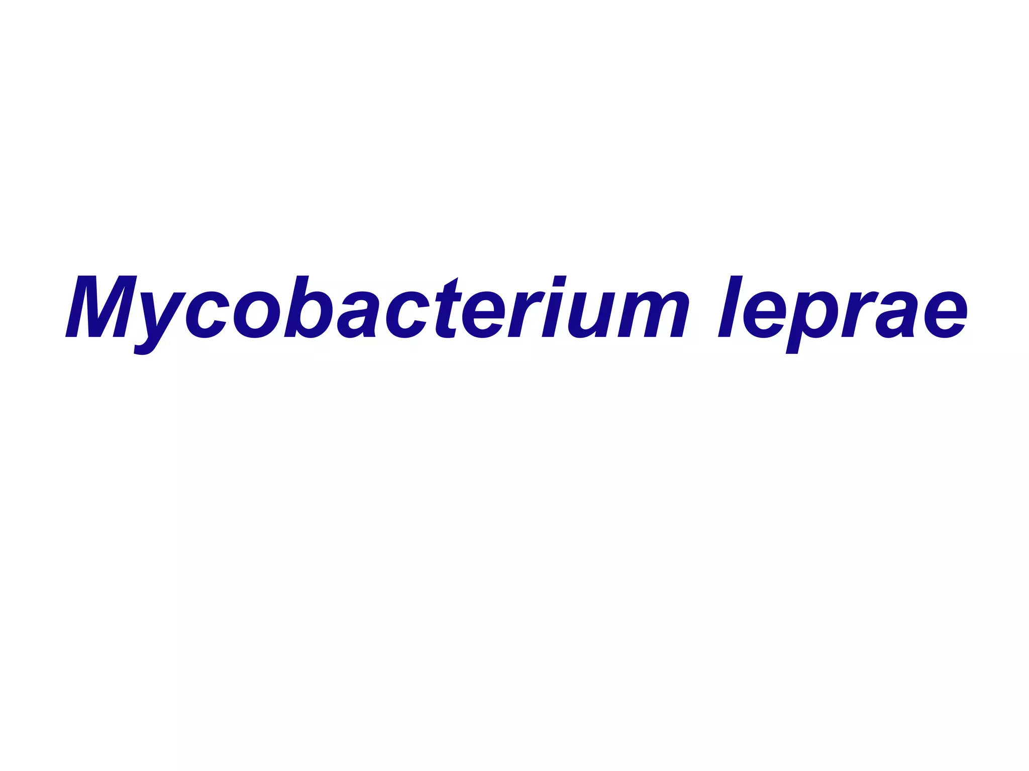 Mycobacterium leprae
 