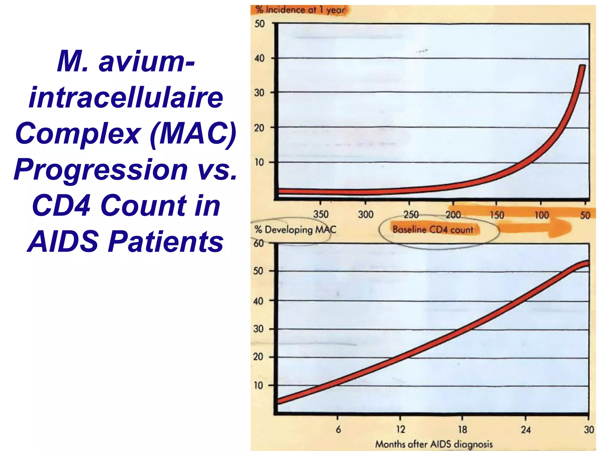 M. avium-
intracellulaire
Complex (MAC)
Progression vs.
CD4 Count in
AIDS Patients
 
