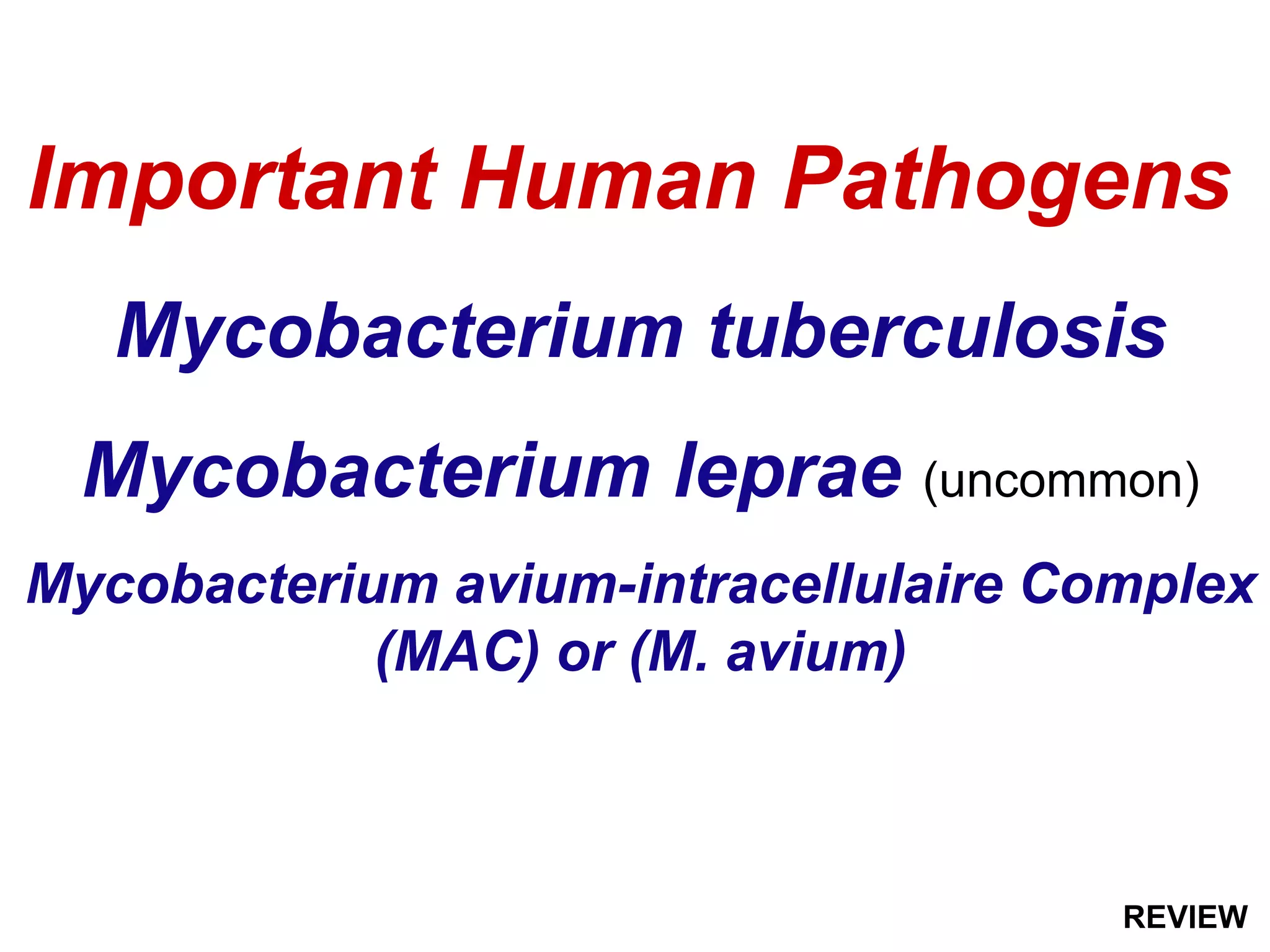 Mycobacterium tuberculosis
Mycobacterium leprae (uncommon)
Mycobacterium avium-intracellulaire Complex
(MAC) or (M. avium)
Important Human Pathogens
REVIEW
 