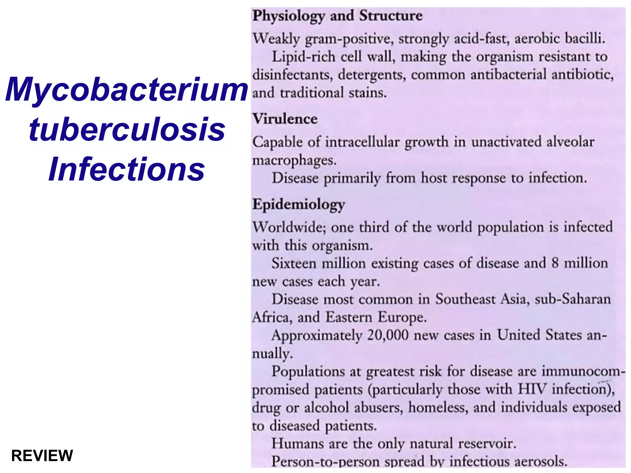 Mycobacterium
tuberculosis
Infections
REVIEW
 