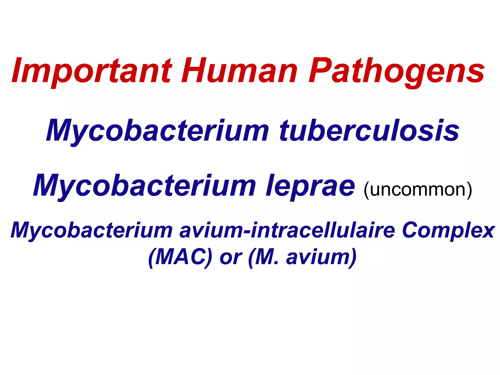Mycobacterium tuberculosis
Mycobacterium leprae (uncommon)
Mycobacterium avium-intracellulaire Complex
(MAC) or (M. avium)
Important Human Pathogens
 