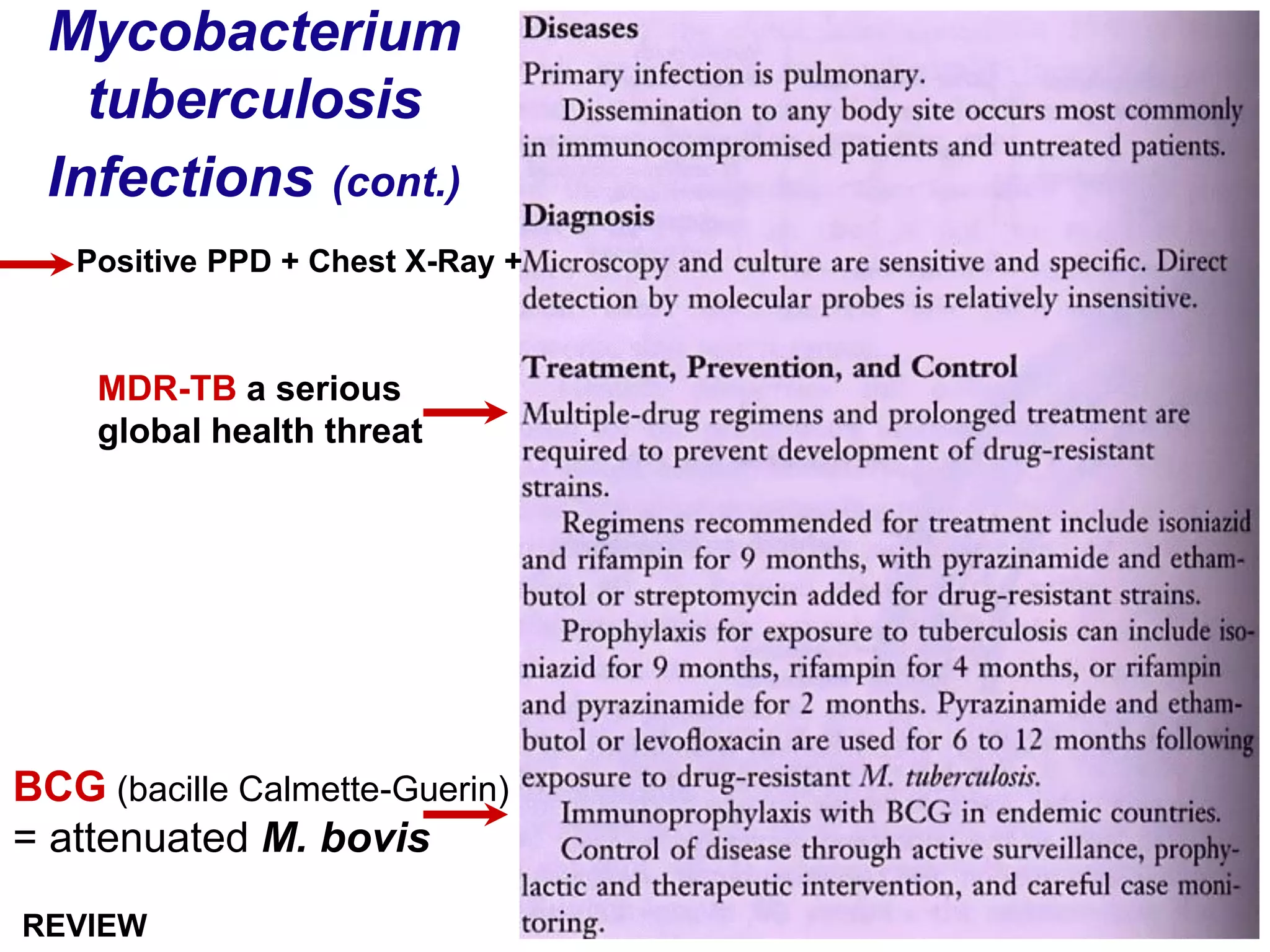 Mycobacterium
tuberculosis
Infections (cont.)
BCG (bacille Calmette-Guerin)
= attenuated M. bovis
Positive PPD + Chest X-Ray +
MDR-TB a serious
global health threat
REVIEW
 