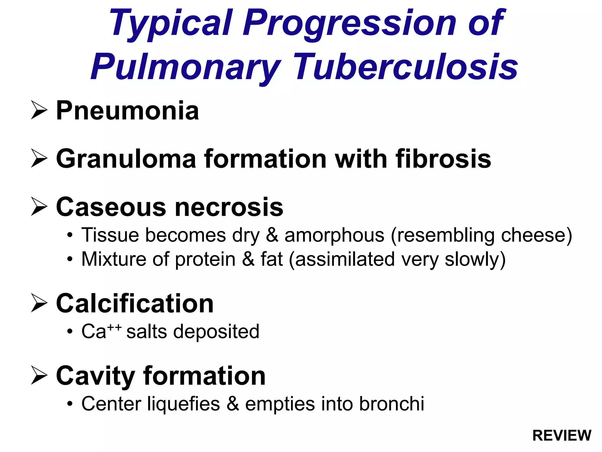  Pneumonia
 Granuloma formation with fibrosis
 Caseous necrosis
• Tissue becomes dry & amorphous (resembling cheese)
• Mixture of protein & fat (assimilated very slowly)
 Calcification
• Ca++ salts deposited
 Cavity formation
• Center liquefies & empties into bronchi
Typical Progression of
Pulmonary Tuberculosis
REVIEW
 