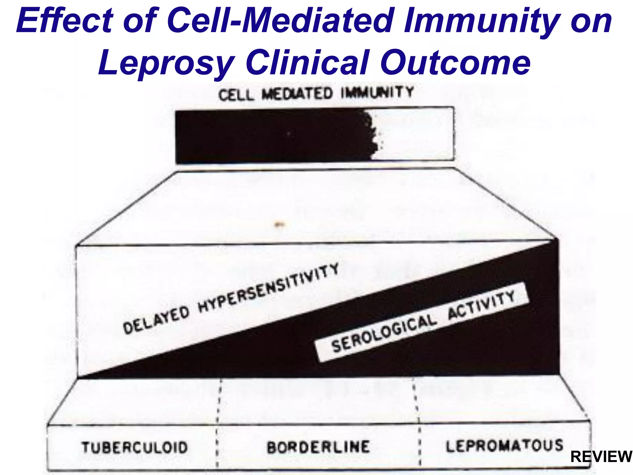 Effect of Cell-Mediated Immunity on
Leprosy Clinical Outcome
REVIEW
 