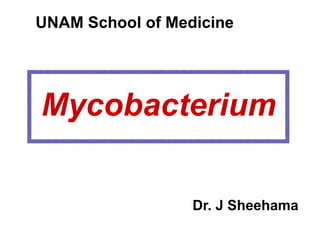 Mycobacterium
Dr. J Sheehama
UNAM School of Medicine
 