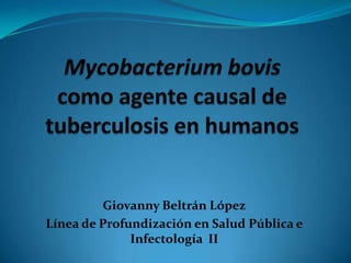 Mycobacteriumboviscomo agente causal de tuberculosis en humanos Giovanny Beltrán López Línea de Profundización en Salud Pública e Infectología  II 