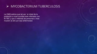  MYCOBACTERIUM TUBERCULOSIS 
La OMS estima que tal vez la mitad de la 
población a nivel mundial este infectado con 
M.TBC y que 3 millones de personas o mas 
mueren al año por esa enfermedad. 
 