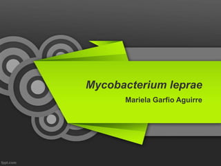 Mycobacterium leprae
      Mariela Garfio Aguirre
 
