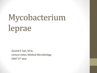 Mycobacterium
leprae
Govind P. Sah, M.Sc.
Lecture notes, Medical Microbiology
CMLT 2nd year
 