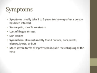 Mycobacterium leprae | PPT