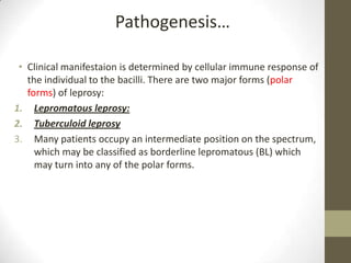 • Clinical manifestaion is determined by cellular immune response of
the individual to the bacilli. There are two major forms (polar
forms) of leprosy:
1. Lepromatous leprosy:
2. Tuberculoid leprosy
3. Many patients occupy an intermediate position on the spectrum,
which may be classified as borderline lepromatous (BL) which
may turn into any of the polar forms.
Pathogenesis…
 