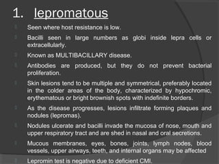 1. lepromatous
 Seen where host resistance is low.
 Bacilli seen in large numbers as globi inside lepra cells or
extracellularly.
 Known as MULTIBACILLARY disease.
 Antibodies are produced, but they do not prevent bacterial
proliferation.
 Skin lesions tend to be multiple and symmetrical, preferably located
in the colder areas of the body, characterized by hypochromic,
erythematous or bright brownish spots with indefinite borders.
 As the disease progresses, lesions infiltrate forming plaques and
nodules (lepromas).
 Nodules ulcerate and bacilli invade the mucosa of nose, mouth and
upper respiratory tract and are shed in nasal and oral secretions.
 Mucous membranes, eyes, bones, joints, lymph nodes, blood
vessels, upper airways, teeth, and internal organs may be affected
 Lepromin test is negative due to deficient CMI.
 