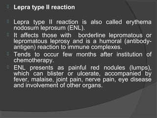  Lepra type II reaction
 Lepra type II reaction is also called erythema
nodosum leprosum (ENL).
 It affects those with borderline lepromatous or
lepromatous leprosy and is a humoral (antibody-
antigen) reaction to immune complexes.
 Tends to occur few months after institution of
chemotherapy.
 ENL presents as painful red nodules (lumps),
which can blister or ulcerate, accompanied by
fever, malaise, joint pain, nerve pain, eye disease
and involvement of other organs.
 