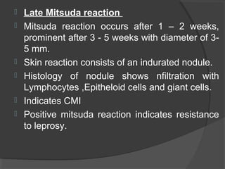  Late Mitsuda reaction
 Mitsuda reaction occurs after 1 – 2 weeks,
prominent after 3 - 5 weeks with diameter of 3-
5 mm.
 Skin reaction consists of an indurated nodule.
 Histology of nodule shows nfiltration with
Lymphocytes ,Epitheloid cells and giant cells.
 Indicates CMI
 Positive mitsuda reaction indicates resistance
to leprosy.
 