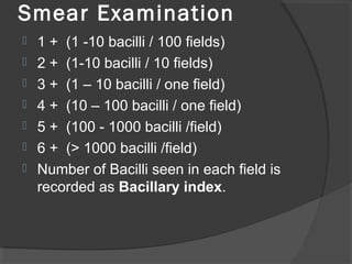 Smear Examination
 1 + (1 -10 bacilli / 100 fields)
 2 + (1-10 bacilli / 10 fields)
 3 + (1 – 10 bacilli / one field)
 4 + (10 – 100 bacilli / one field)
 5 + (100 - 1000 bacilli /field)
 6 + (> 1000 bacilli /field)
 Number of Bacilli seen in each field is
recorded as Bacillary index.
 