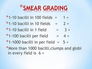 *1-10 bacilli in 100 fields = 1 +
*1-10 bacilli in 10 fields = 2 +
*1-10 bacilli in 1 field = 3 +
*1-100 bacilli per field = 4 +
*1-1000 bacilli in per field = 5 +
*More than 1000 bacilli,clumps and globi
in every field is 6 +
 