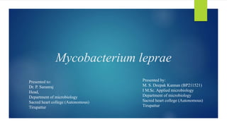 Mycobacterium leprae
Presented by:
M. S. Deepak Kannan (BP211521)
I M.Sc. Applied microbiology
Department of microbiology
Sacred heart college (Autonomous)
Tirupattur
Presented to:
Dr. P. Saranraj
Head,
Department of microbiology
Sacred heart college (Autonomous)
Tirupattur
 