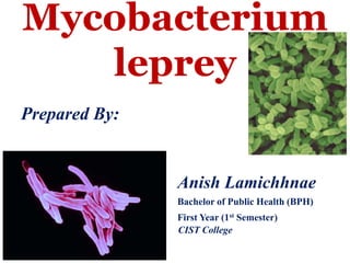 Mycobacterium
leprey
Prepared By:
Anish Lamichhnae
Bachelor of Public Health (BPH)
First Year (1st Semester)
CIST College
 