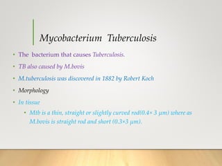 Mycobacterium Tuberculosis
• The bacterium that causes Tuberculosis.
• TB also caused by M.bovis
• M.tuberculosis was discovered in 1882 by Robert Koch
• Morphology
• In tissue
• Mtb is a thin, straight or slightly curved rod(0.4× 3 µm) where as
M.bovis is straight rod and short (0.3×3 µm).
 