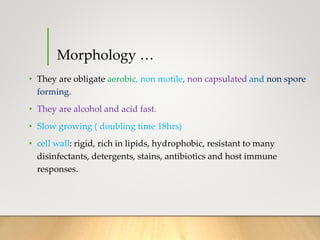 Morphology …
• They are obligate aerobic, non motile, non capsulated and non spore
forming.
• They are alcohol and acid fast.
• Slow growing ( doubling time 18hrs)
• cell wall: rigid, rich in lipids, hydrophobic, resistant to many
disinfectants, detergents, stains, antibiotics and host immune
responses.
 