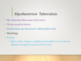 Mycobacterium species.pptx