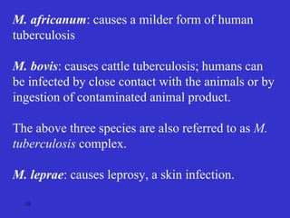 10
M. africanum: causes a milder form of human
tuberculosis
M. bovis: causes cattle tuberculosis; humans can
be infected by close contact with the animals or by
ingestion of contaminated animal product.
The above three species are also referred to as M.
tuberculosis complex.
M. leprae: causes leprosy, a skin infection.
 