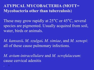 Mycobacterium spp.ppt