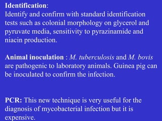 21
Identification:
Identify and confirm with standard identification
tests such as colonial morphology on glycerol and
pyruvate media, sensitivity to pyrazinamide and
niacin production.
Animal inoculation : M. tuberculosis and M. bovis
are pathogenic to laboratory animals. Guinea pig can
be inoculated to confirm the infection.
PCR: This new technique is very useful for the
diagnosis of mycobacterial infection but it is
expensive.
 