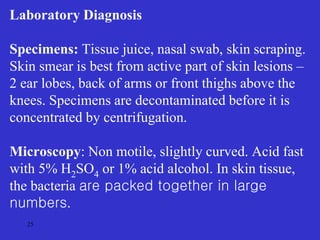 25
Laboratory Diagnosis
Specimens: Tissue juice, nasal swab, skin scraping.
Skin smear is best from active part of skin lesions –
2 ear lobes, back of arms or front thighs above the
knees. Specimens are decontaminated before it is
concentrated by centrifugation.
Microscopy: Non motile, slightly curved. Acid fast
with 5% H2SO4 or 1% acid alcohol. In skin tissue,
the bacteria are packed together in large
numbers.
 