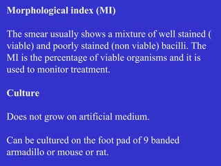 26
Morphological index (MI)
The smear usually shows a mixture of well stained (
viable) and poorly stained (non viable) bacilli. The
MI is the percentage of viable organisms and it is
used to monitor treatment.
Culture
Does not grow on artificial medium.
Can be cultured on the foot pad of 9 banded
armadillo or mouse or rat.
 