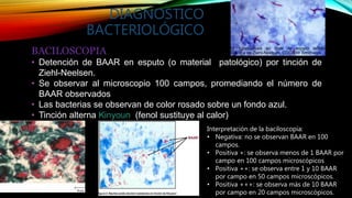 DIAGNOSTICO
BACTERIOLÓGICO
BACILOSCOPIA
• Detención de BAAR en esputo (o material patológico) por tinción de
Ziehl-Neelsen.
• Se observar al microscopio 100 campos, promediando el número de
BAAR observados
• Las bacterias se observan de color rosado sobre un fondo azul.
• Tinción alterna Kinyoun (fenol sustituye al calor)
M. tuberculosis en frote de esputo teñido.
Técnica de Ziehl-Neelsen. CDC/RW Smithwick
Interpretación de la baciloscopía:
• Negativa: no se observan BAAR en 100
campos.
• Positiva +: se observa menos de 1 BAAR por
campo en 100 campos microscópicos
• Positiva ++: se observa entre 1 y 10 BAAR
por campo en 50 campos microscópicos.
• Positiva +++: se observa más de 10 BAAR
por campo en 20 campos microscópicos.ZIEHL-NEELSEN
KINYOUN
 