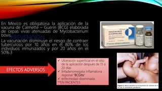 PREVENCIÓN
En México es obligatoria la aplicación de la
vacuna de Calmette – Guerin (BCG) elaborada
de cepas vivas atenuadas de Mycobacterium
bovis.
La vacunación disminuye el riesgo de contraer
tuberculosis por 10 años en el 80% de los
individuos inmunizados y por 20 años en el
50%.3
 Ulceración superficial en el sitio
de la aplicación después de 15 a
20 días
 linfadenomegalia inflamatoria
regional “BCGitis”
 enfermedad diseminada
**EN PACIENTES
INMUNODEPRIMIDOS**
EFECTOS ADVERSOS
 