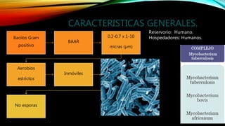 CARACTERISTICAS GENERALES.
Bacilos Gram
positivo
BAAR
0.2-0.7 x 1-10
micras (µm)
Aerobios
estrictos
Inmóviles
Crecimiento
...