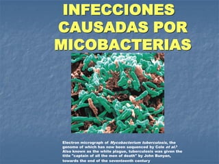 INFECCIONES
CAUSADAS POR
MICOBACTERIAS




Electron micrograph of Mycobacterium tuberculosis, the
genome of which has now been sequenced by Cole et al.2
Also known as the white plague, tuberculosis was given the
title "captain of all the men of death" by John Bunyan,
towards the end of the seventeenth century
 