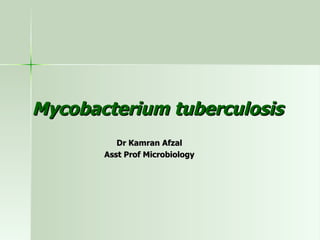 Mycobacterium tuberculosis Dr Kamran Afzal Asst Prof Microbiology 