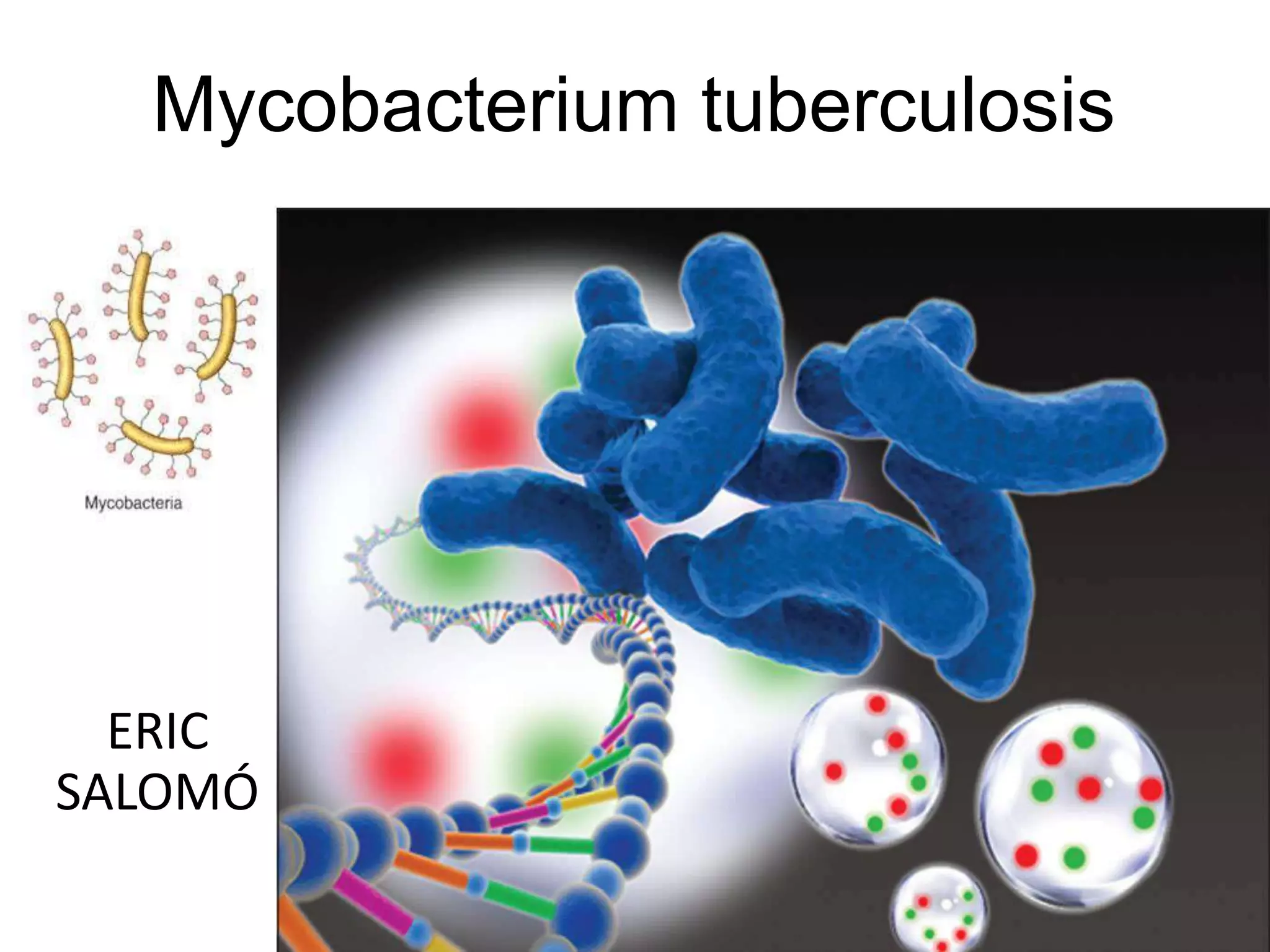 Mycobacterium tuberculosis ppt