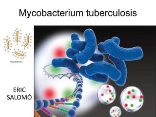 Mycobacterium tuberculosis




  ERIC
SALOMÓ
 