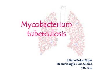 Mycobacterium
 tuberculosis


                Juliana Rolon Rojas
         Bacteriología y Lab Clinico
                           10171035
 