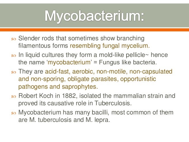 Mycobacterium tuberculosis