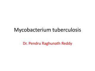 Mycobacterium tuberculosis
Dr. Pendru Raghunath Reddy

 