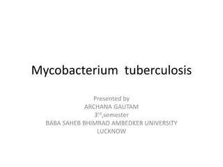 Mycobacterium tuberculosis
Presented by
ARCHANA GAUTAM
3rd,semester
BABA SAHEB BHIMRAO AMBEDKER UNIVERSITY
LUCKNOW
 