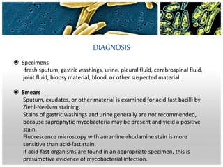 DIAGNOSIS
 Specimens
fresh sputum, gastric washings, urine, pleural fluid, cerebrospinal fluid,
joint fluid, biopsy material, blood, or other suspected material.
 Smears
Sputum, exudates, or other material is examined for acid-fast bacilli by
Ziehl-Neelsen staining.
Stains of gastric washings and urine generally are not recommended,
because saprophytic mycobacteria may be present and yield a positive
stain.
Fluorescence microscopy with auramine-rhodamine stain is more
sensitive than acid-fast stain.
If acid-fast organisms are found in an appropriate specimen, this is
presumptive evidence of mycobacterial infection.
 
