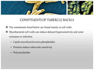 CONSTITUENTS OF TUBERCLE BACILLI
 The constituents listed below are found mainly in cell walls.
 Mycobacterial cell walls can induce delayed hypersensitivity and some
resistance to infection.
– Lipids-mycolicacid,waxes,phosphatides
– Proteins-induce tuberculin sensitivity
– Polysaccharides
 