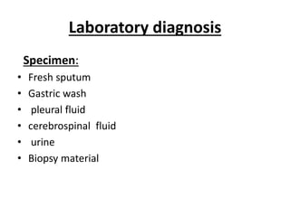 Laboratory diagnosis
Specimen:
• Fresh sputum
• Gastric wash
• pleural fluid
• cerebrospinal fluid
• urine
• Biopsy material
 