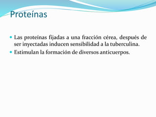 Proteínas
 Las proteínas fijadas a una fracción cérea, después de
ser inyectadas inducen sensibilidad a la tuberculina.
 Estimulan la formación de diversos anticuerpos.
 