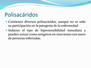 Polisacáridos
 Contienen diversos polisacáridos, aunque no se sabe
su participación en la patogenia de la enfermedad.
 Inducen el tipo de hipersensibilidad inmediata y
pueden actuar como antígenos en reacciones con suero
de personas infectadas.
 