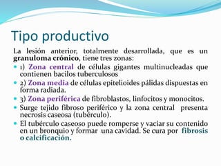 Tipo productivo
La lesión anterior, totalmente desarrollada, que es un
granuloma crónico, tiene tres zonas:
 1) Zona central de células gigantes multinucleadas que
contienen bacilos tuberculosos
 2) Zona media de células epitelioides pálidas dispuestas en
forma radiada.
 3) Zona periférica de fibroblastos, linfocitos y monocitos.
 Surge tejido fibroso periférico y la zona central presenta
necrosis caseosa (tubérculo).
 El tubérculo caseoso puede romperse y vaciar su contenido
en un bronquio y formar una cavidad. Se cura por fibrosis
o calcificación.
 